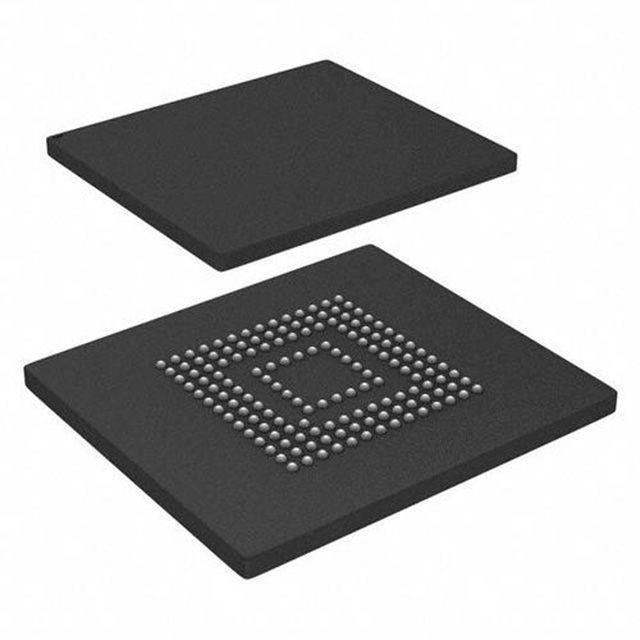 S40FC002C1B1V00300